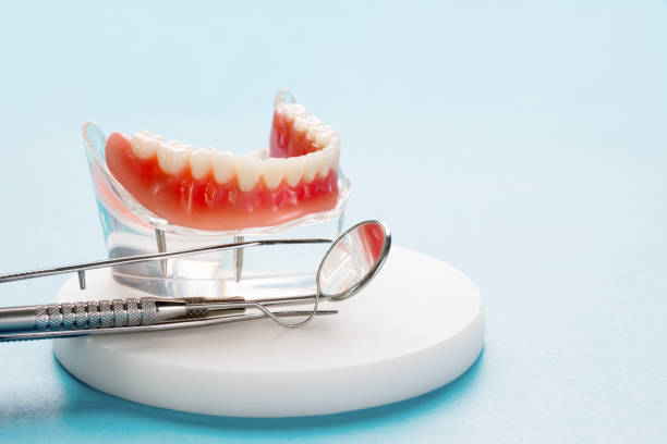 Best Dental Exams and Cleanings  in Cedar Grove, FL